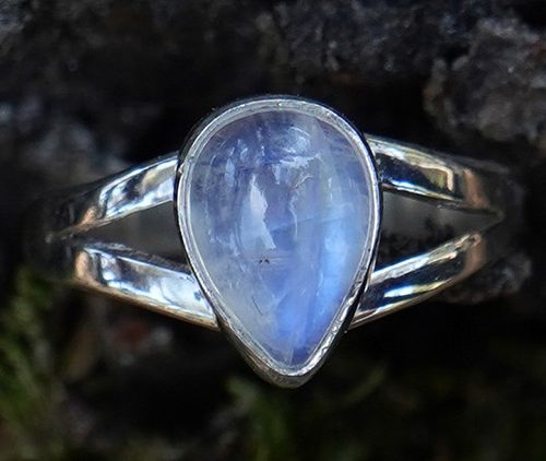 EGIPCIO VI - Talla 16