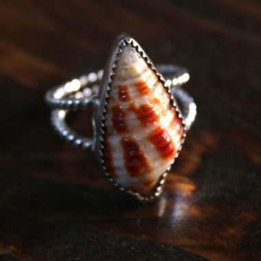 Anillo CARACOL MARINO I – Talla 14