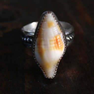 Anillo CARACOL MARINO II – Talla 14, 15, 16 (Anillo abierto)