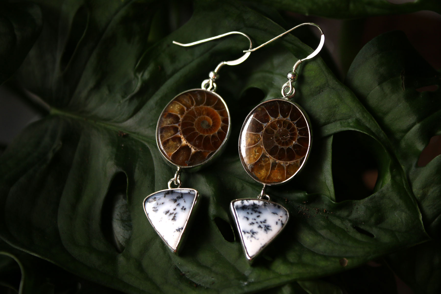 Pendientes AMMONITE con AGATA DENDRITICA